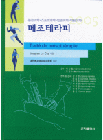 메조테라피 2005