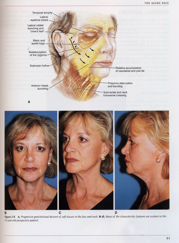 Atlas of Aesthetic Face and Neck Surgery