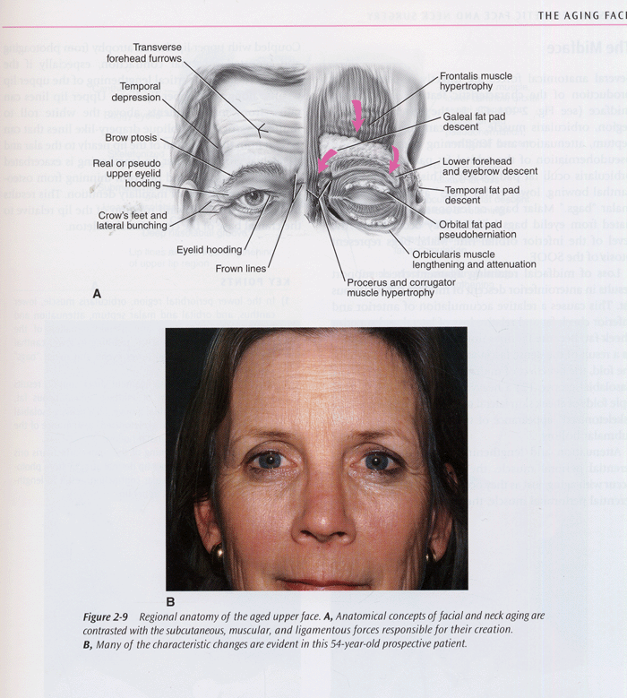 Atlas of Aesthetic Face and Neck Surgery