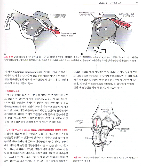 근골격계의 기능해부 및 운동학 : Kinesiology of the Musculosk - 구용어