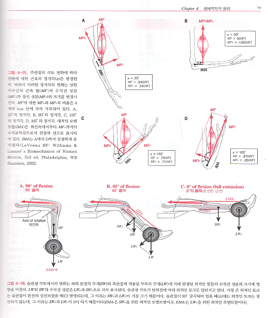 근골격계의 기능해부 및 운동학 : Kinesiology of the Musculosk - 구용어