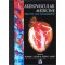 Cardiovascular Medicine: Practice and Management