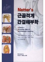 근골격계 간결해부학 Netter's