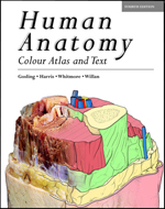 Human Anatomy Color Atlas and Text ,4/e