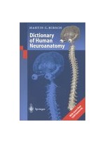 Dictionary of Human Neuroanatomy