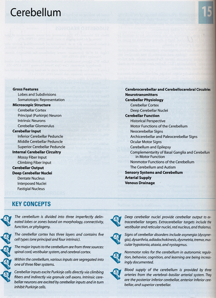 Functional Neuroanatomy,2/e