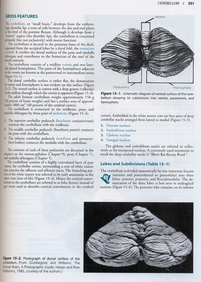 Functional Neuroanatomy,2/e