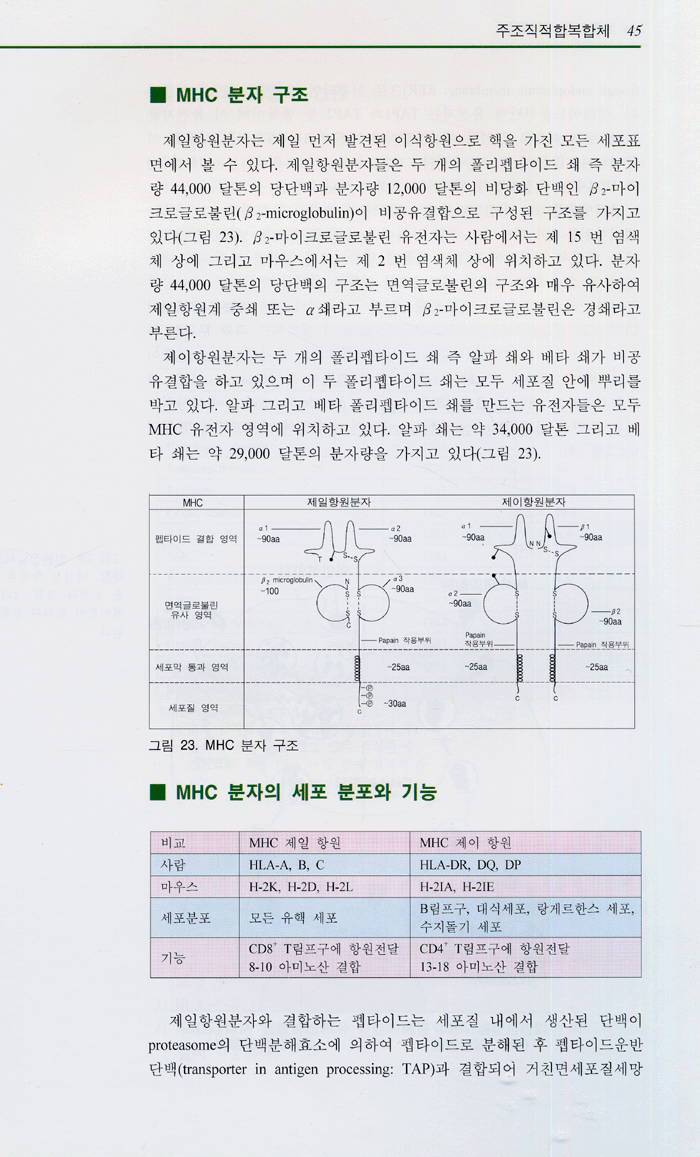 면역학 길라잡이