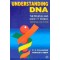 Understanding DNA