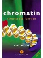 Chromatin: Structure and Function