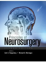 Principles Of Neurosurgery