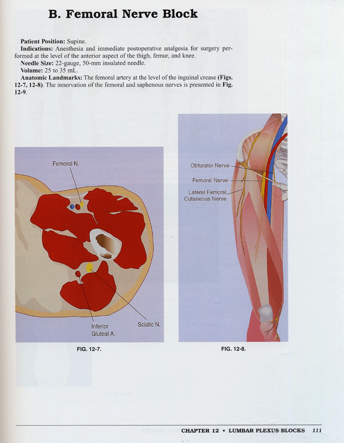 Peripheral Nerve Blocks: A Color Atlas 2th