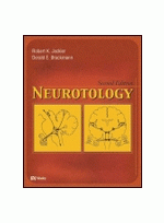 Neurotology