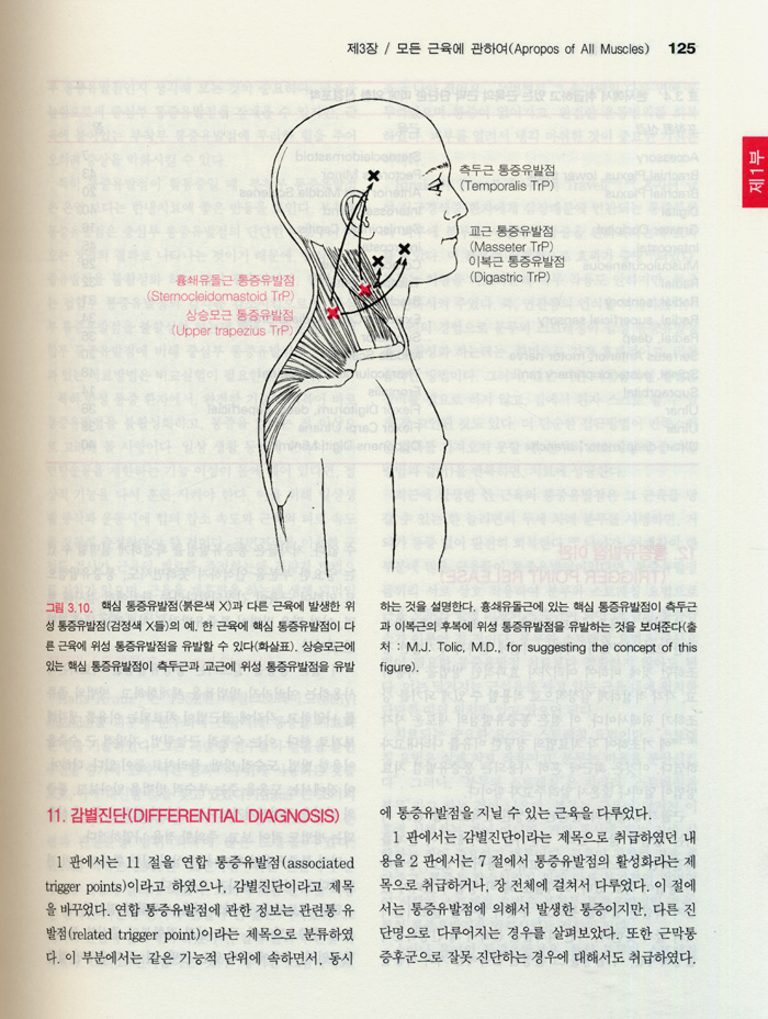 통증유발점의 기전과 치료 - 1권 : 상체 (트라벨.사이몬스)