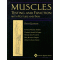 Muscles 5th