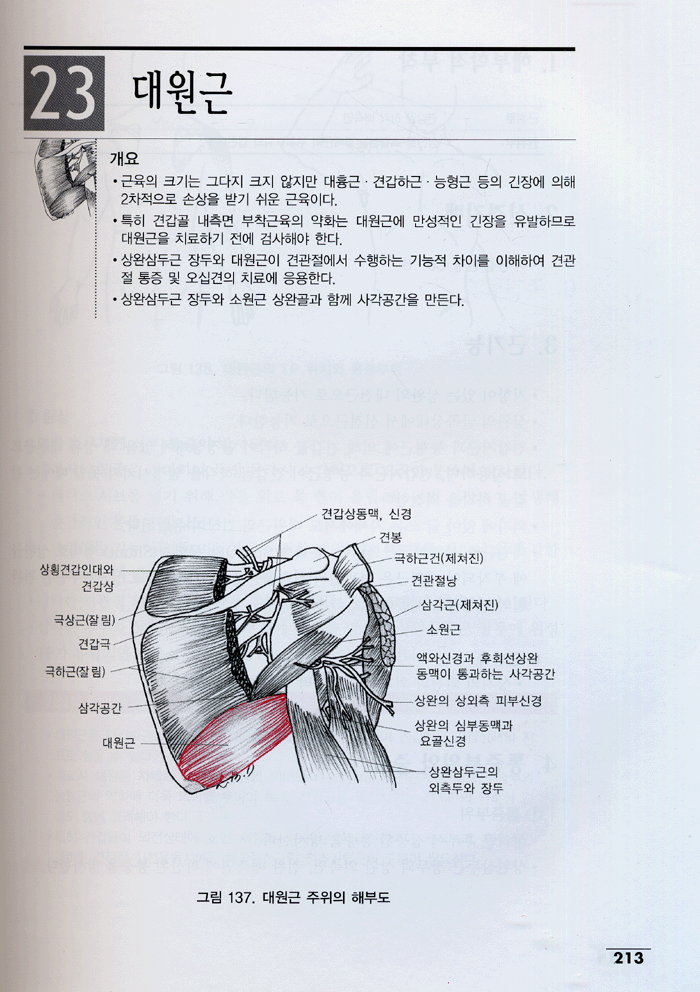 근육과 통증 (Muscle & Pain)