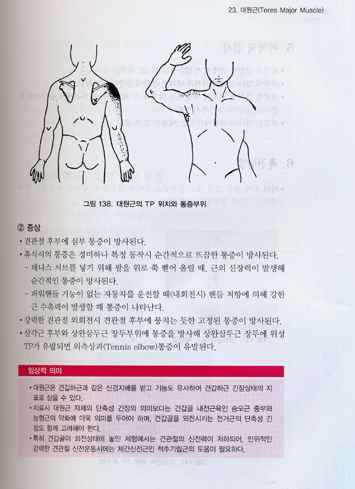 근육과 통증 (Muscle & Pain)