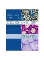 Bloom and Fawcett: Concise Histology,2/e