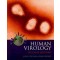 Human Virology: A Text for Students of Medicine. Dentistry and Microbiology