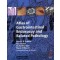 Atlas of Gastrointestinal Endoscopy and Related Pathology