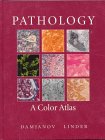 Pathology : A Color Atlas