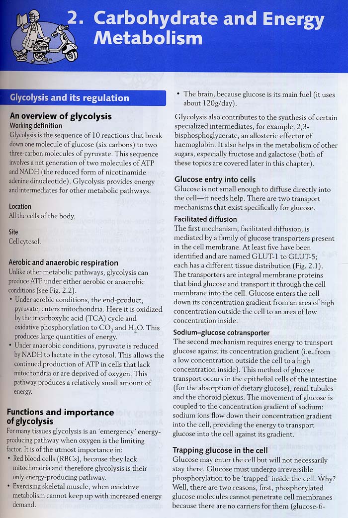 Crash Course: Metabolism and Nutrition,2/e