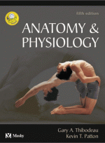 Anatomy and Physiology