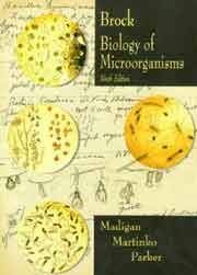 Biology of Microorganisms