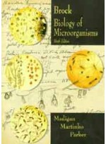 Biology of Microorganisms