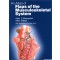 An Atlas of Flaps of the Musculoskeletal System