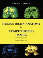 Human Brain Anatomy in Computerized Image,2/e