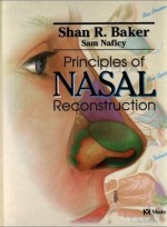 Principles of Aesthetic Nasal Reconstruction