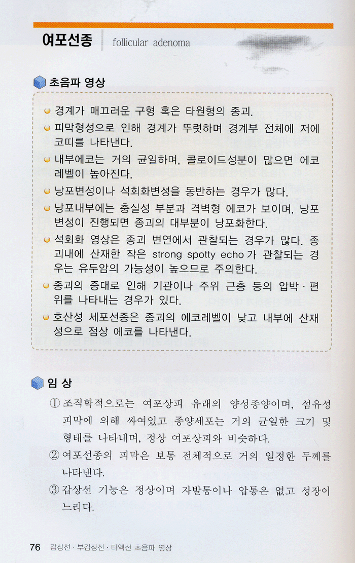 갑상선ㆍ부갑상선 타액선 초음파영상