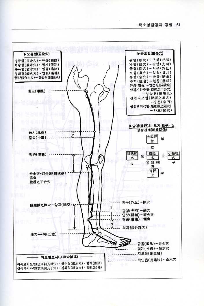 우리몸의 경혈[하권]