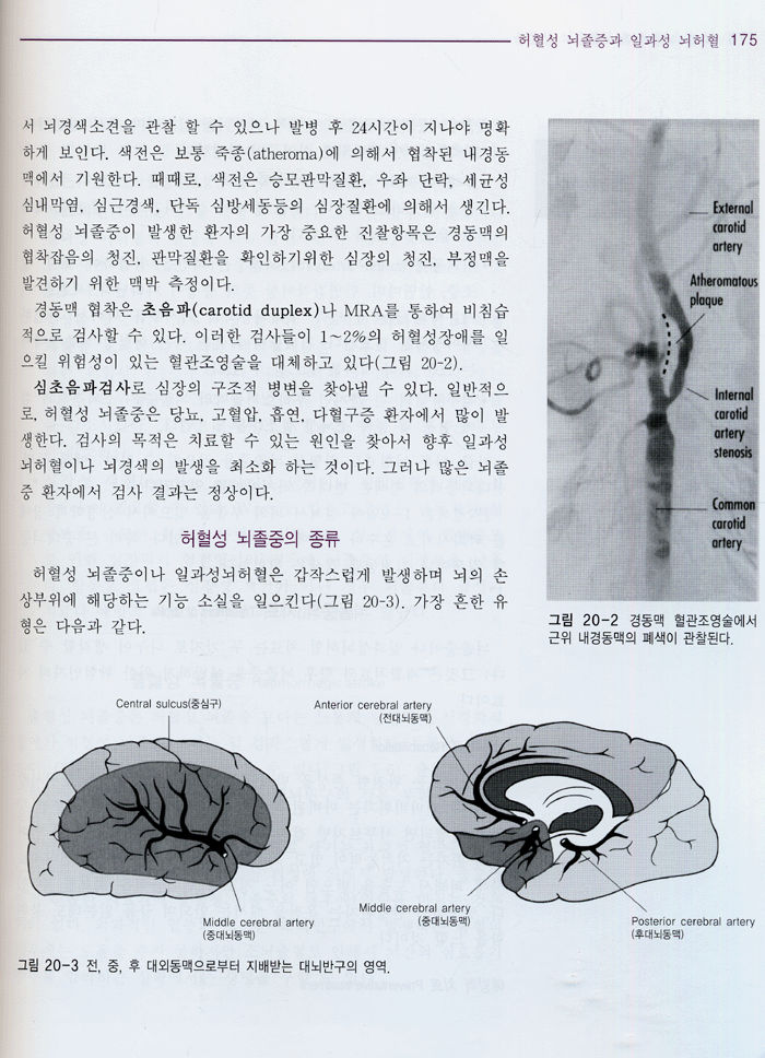 신경과학