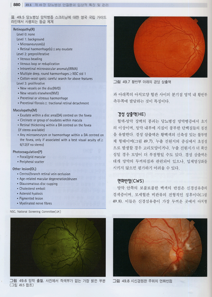 당뇨병의 진단과 치료 제3판 [전2권] Textbook of Diabetes