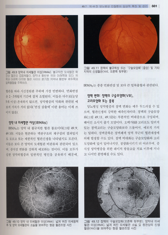 당뇨병의 진단과 치료 제3판 [전2권] Textbook of Diabetes