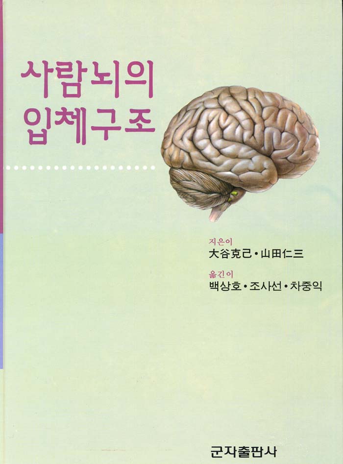 사람뇌의 입체구조