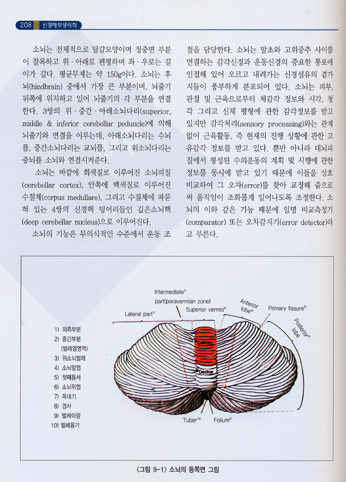 신경해부 생리학 (셋째판) 물리 작업치료사를 위한