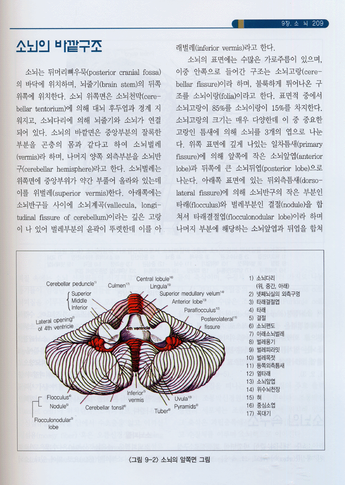 신경해부 생리학 (셋째판) 물리 작업치료사를 위한