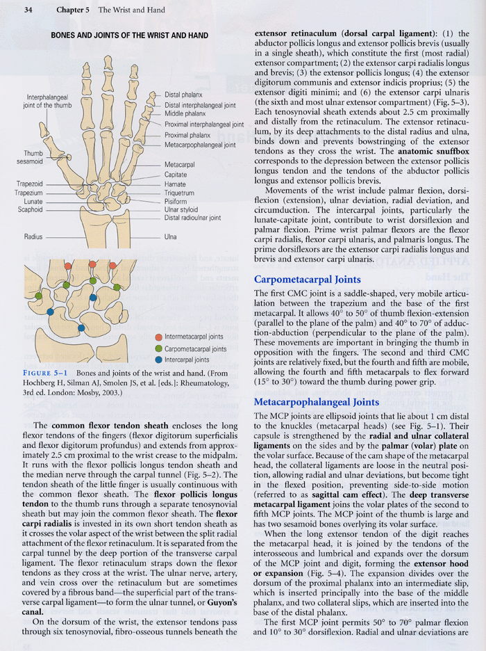 Musculoskeletal Examination and Joint Injections Techniques