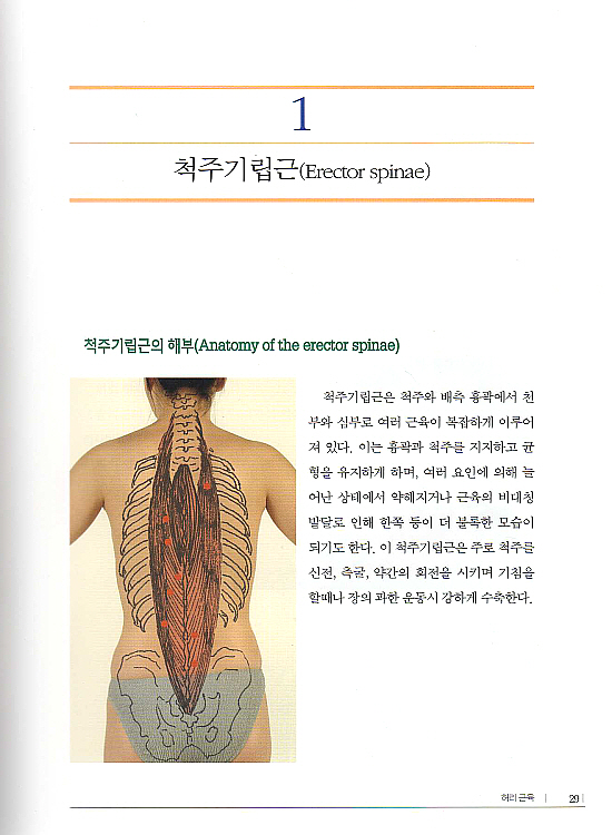 임상도수치료200 : 개업의를 위한 Manual Therapy 200가지