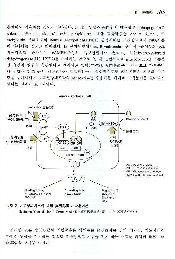 Doctor`s 입문한방의학