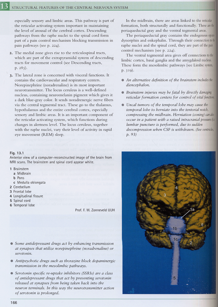 Color Atlas Of The Brain And Spinal Cord 2e