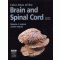 Color Atlas Of The Brain And Spinal Cord 2e
