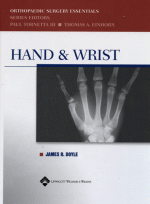 Hand & Wrist