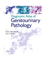 Diagnostic Atlas of Genitourinary Pathology