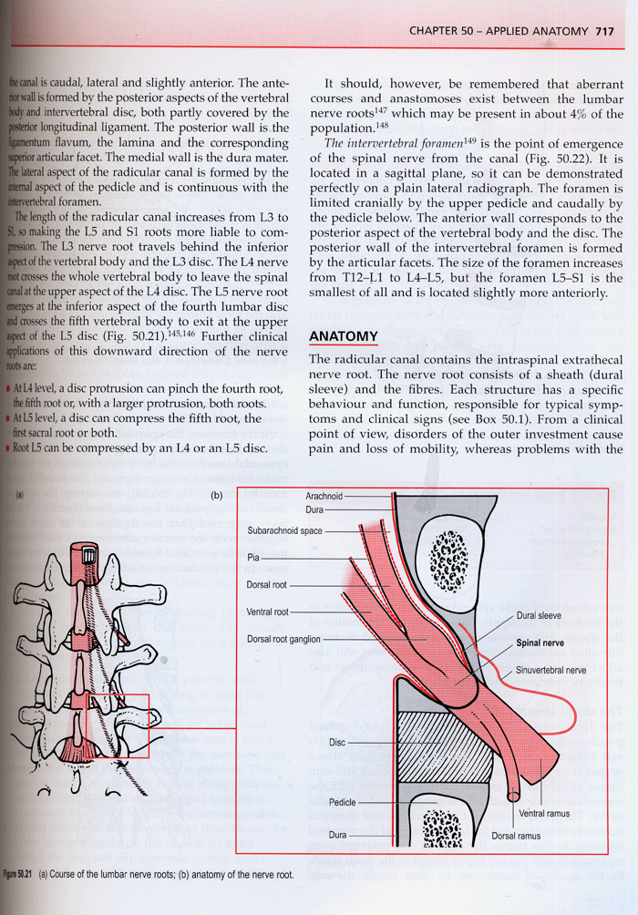 A System of Orthopaedic Medicine 2th