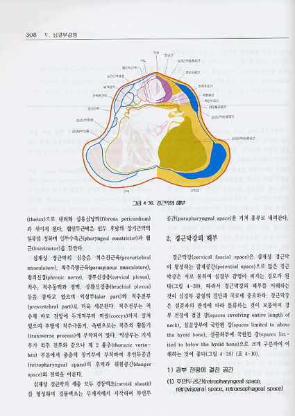 두경부외과학 (개정판) 2판