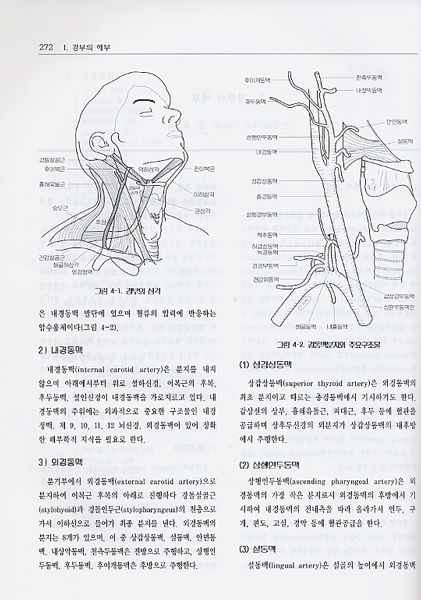 두경부외과학 (개정판) 2판